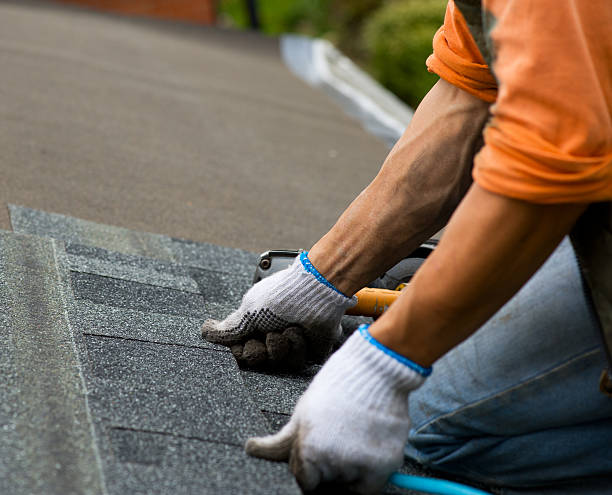 Best Roof Repair Services  in Sterling, KS